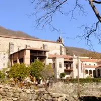 Ginkgos Monasterio de Yuste